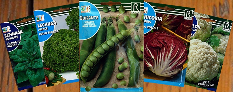 بذر سبزیجات ، از خرید بذر تا پرورش سبزی