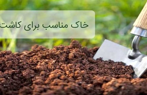 خاک مناسب برای کاشت بذر