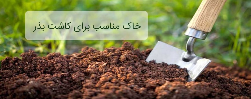 خاک مناسب برای کاشت بذر