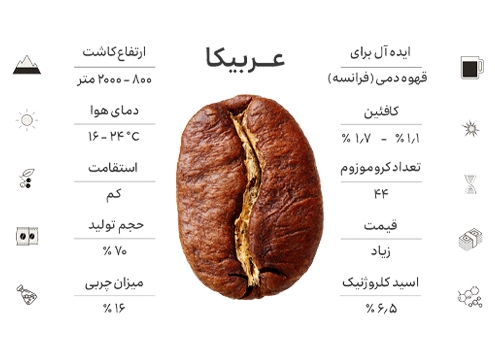 ویژگی قهوه عربیکا