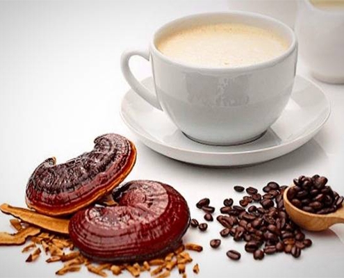 خواص درمانی قهوه گانودرما